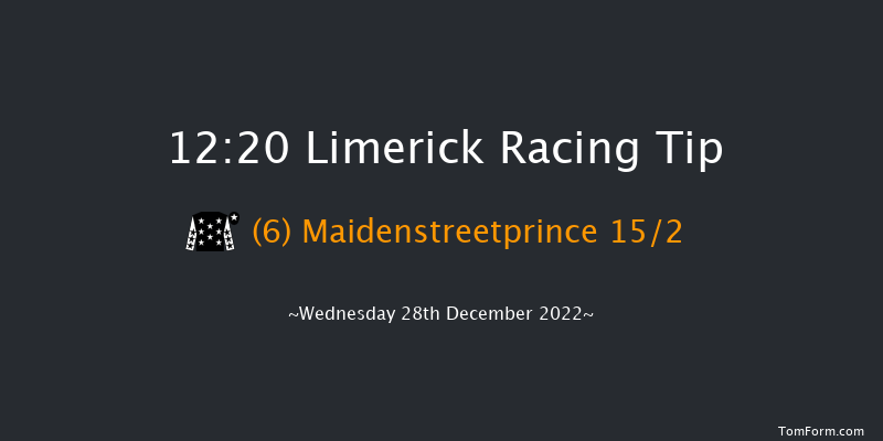 Limerick 12:20 Maiden Hurdle 16f Tue 27th Dec 2022