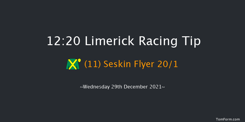 Limerick 12:20 Handicap Chase 22f Tue 28th Dec 2021