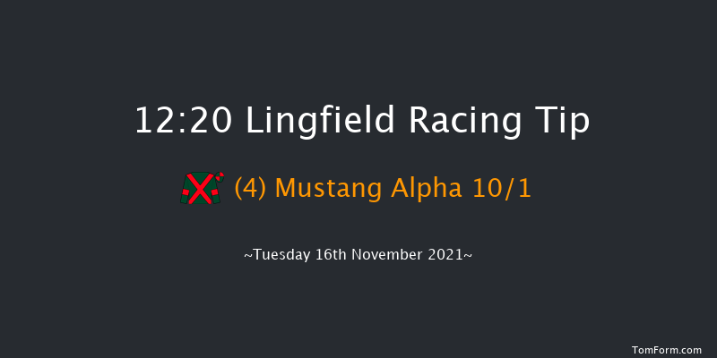 Lingfield 12:20 Handicap Hurdle (Class 4) 23f Sat 13th Nov 2021