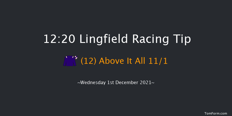 Lingfield 12:20 Handicap (Class 6) 7f Tue 30th Nov 2021