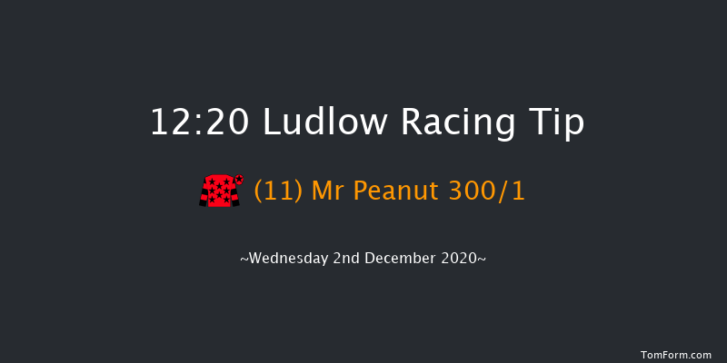 Shropshire Mind Novices' Claiming Hurdle (GBB Race) Ludlow 12:20 Claiming Hurdle (Class 4) 16f Mon 23rd Nov 2020