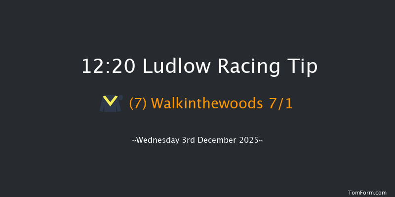 Ludlow 12:20 (Class 5) 23f Mon 24th Nov 2025