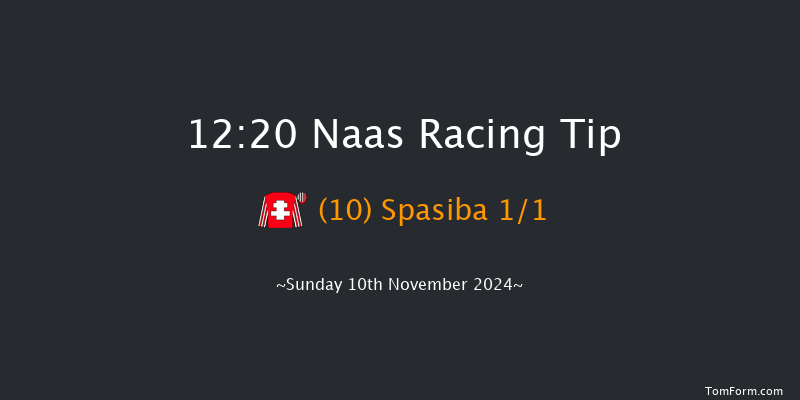 Naas  12:20 Maiden Hurdle 16f Sun 13th Oct 2024