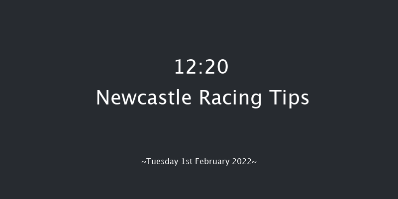Newcastle 12:20 Stakes (Class 5) 16f Thu 27th Jan 2022