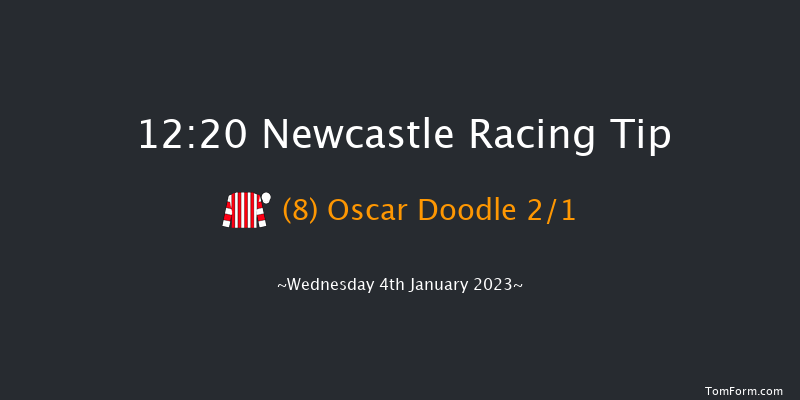 Newcastle 12:20 Stakes (Class 6) 12f Mon 2nd Jan 2023