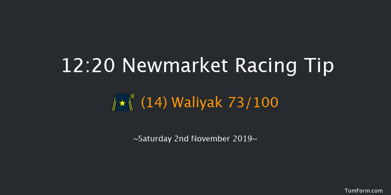 Newmarket 12:20 Stakes (Class 4) 7f Fri 1st Nov 2019