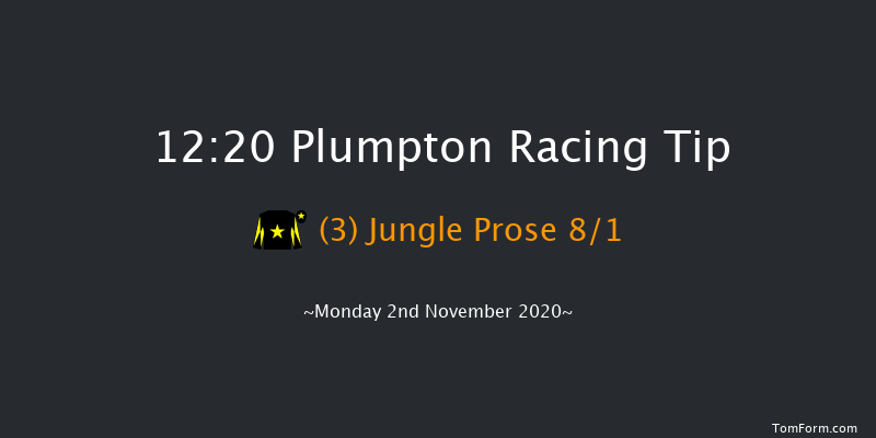 Breeders' Cup Live On Sky Sports Racing Mares' Maiden Hurdle (GBB Race) Plumpton 12:20 Maiden Hurdle (Class 4) 16f Mon 19th Oct 2020