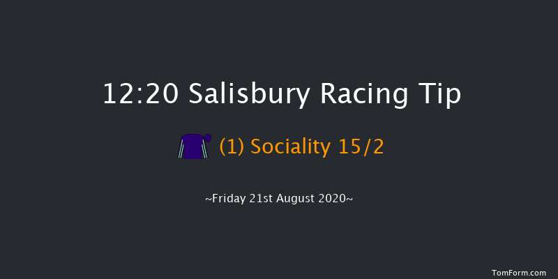 British Stallion Studs EBF Wilton Novice Auction Stakes (Plus 10) Salisbury 12:20 Stakes (Class 5) 6f Thu 13th Aug 2020