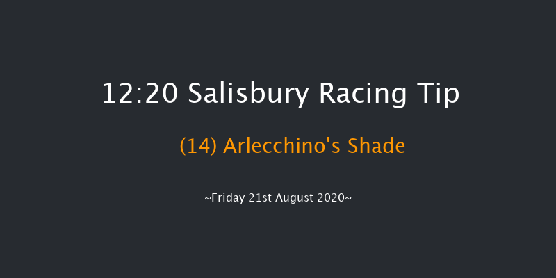 British Stallion Studs EBF Wilton Novice Auction Stakes (Plus 10) Salisbury 12:20 Stakes (Class 5) 6f Thu 13th Aug 2020