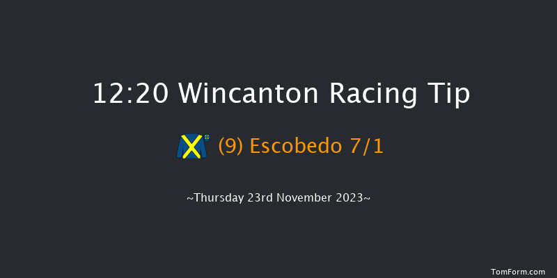 Wincanton 12:20 Handicap Hurdle (Class 5) 15f Sat 11th Nov 2023