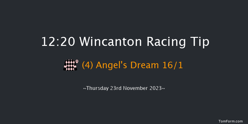 Wincanton 12:20 Handicap Hurdle (Class 5) 15f Sat 11th Nov 2023