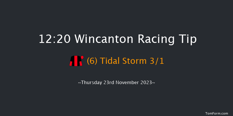 Wincanton 12:20 Handicap Hurdle (Class 5) 15f Sat 11th Nov 2023