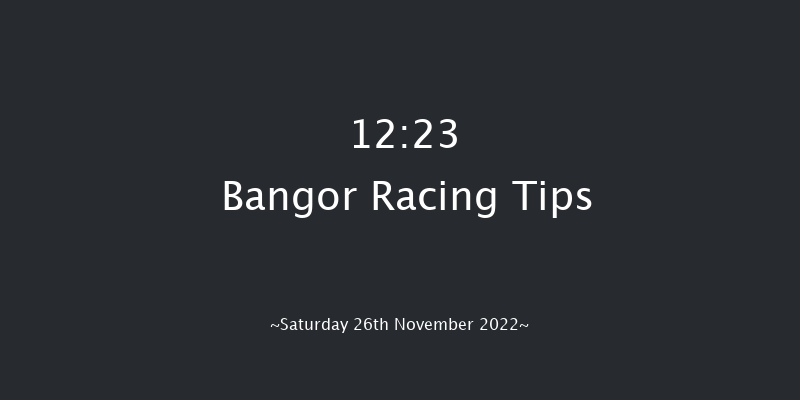 Bangor 12:23 Handicap Chase (Class 4) 
17f Wed 9th Nov 2022
