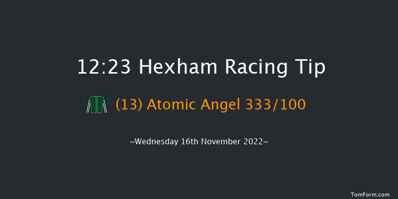 Hexham 12:23 Handicap Hurdle (Class 5) 20f Fri 4th Nov 2022