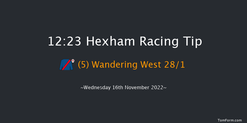 Hexham 12:23 Handicap Hurdle (Class 5) 20f Fri 4th Nov 2022