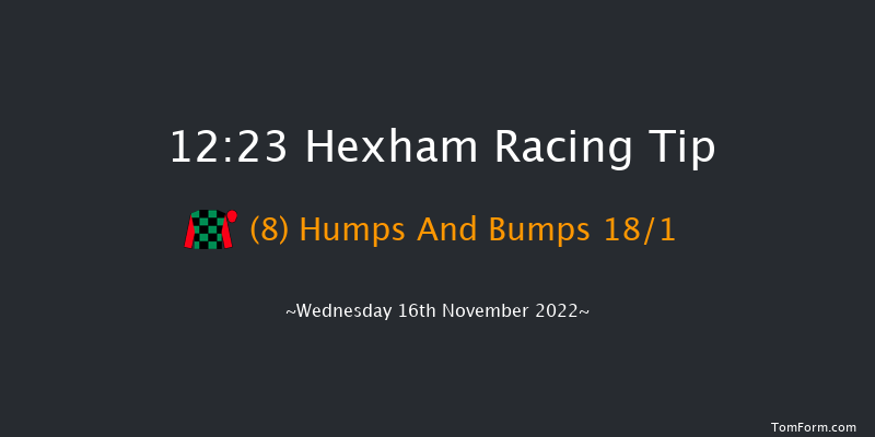 Hexham 12:23 Handicap Hurdle (Class 5) 20f Fri 4th Nov 2022