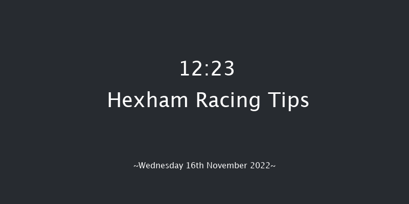 Hexham 12:23 Handicap Hurdle (Class 5) 20f Fri 4th Nov 2022