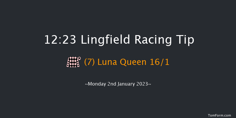 Lingfield 12:23 Handicap (Class 5) 8f Sat 31st Dec 2022