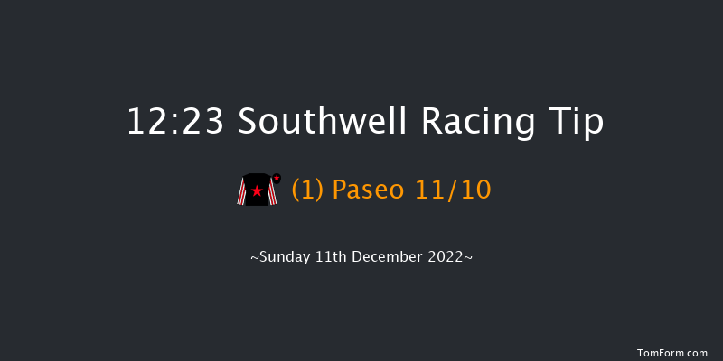 Southwell 12:23 Handicap Chase (Class 5) 26f Fri 9th Dec 2022