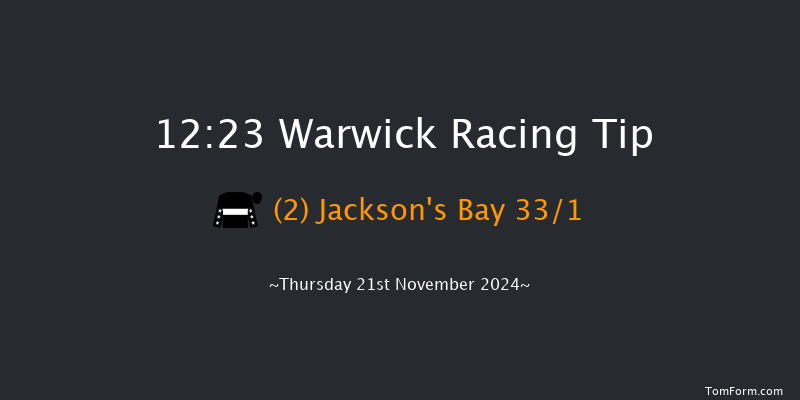 Warwick  12:23 Conditions Hurdle (Class 4) 16f Wed 20th Nov 2024