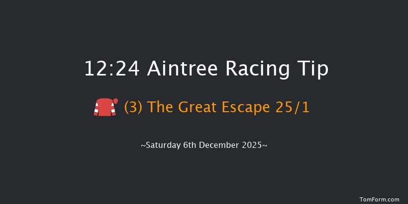 Aintree 12:24 (Class 4) 24f Sat 8th Nov 2025