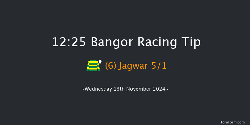 Bangor-on-dee  12:25 Handicap Chase (Class 3) 20f Tue 29th Oct 2024