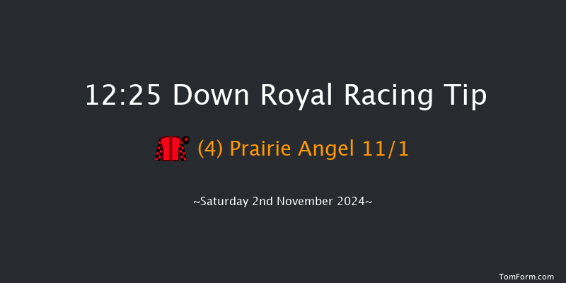 Down Royal  12:25 Conditions Hurdle 17f Fri 1st Nov 2024