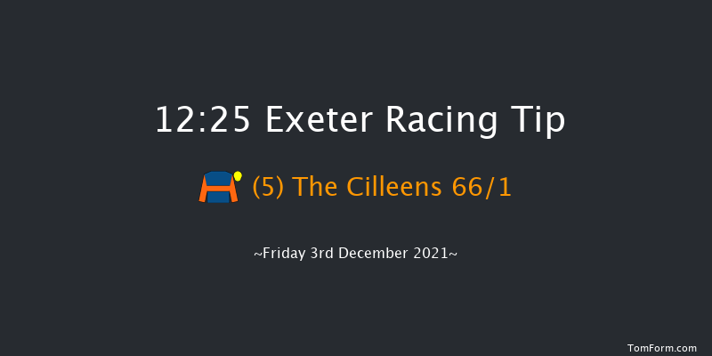 Exeter 12:25 Handicap Hurdle (Class 5) 18f Sun 21st Nov 2021