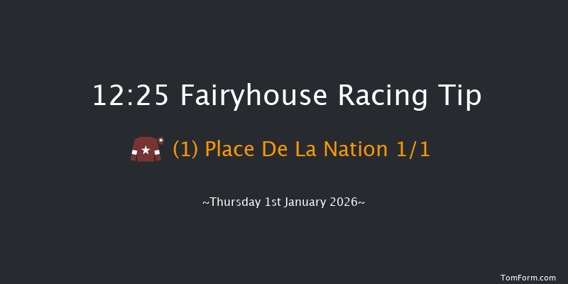 Fairyhouse 12:25 16f Sat 13th Dec 2025