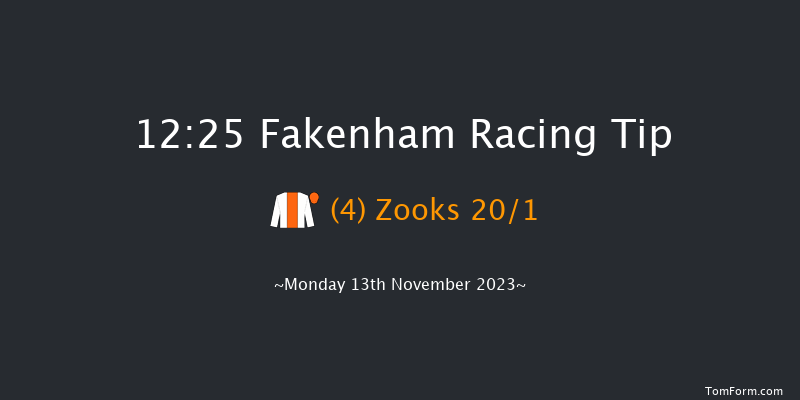 Fakenham 12:25 Conditions Hurdle (Class 4) 16f Wed 1st Nov 2023