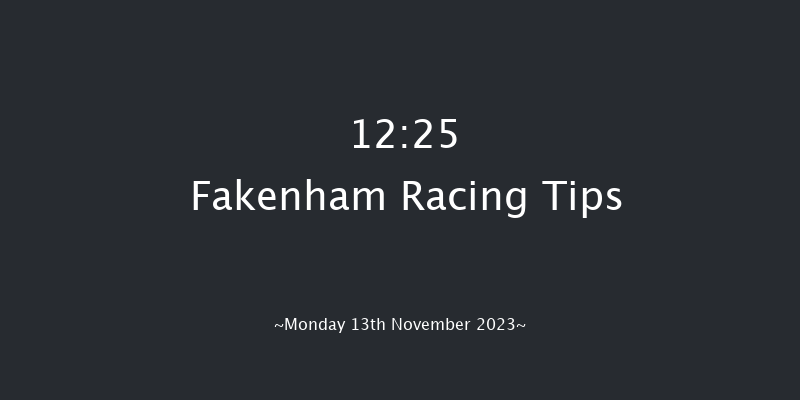 Fakenham 12:25 Conditions Hurdle (Class 4) 16f Wed 1st Nov 2023