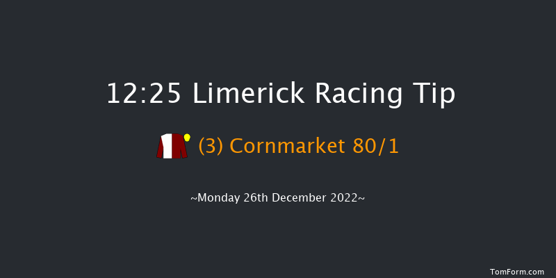 Limerick 12:25 Maiden Hurdle 16f Tue 22nd Nov 2022