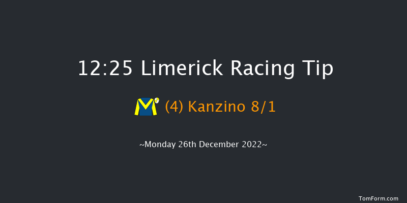 Limerick 12:25 Maiden Hurdle 16f Tue 22nd Nov 2022