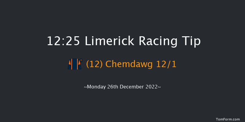 Limerick 12:25 Maiden Hurdle 16f Tue 22nd Nov 2022
