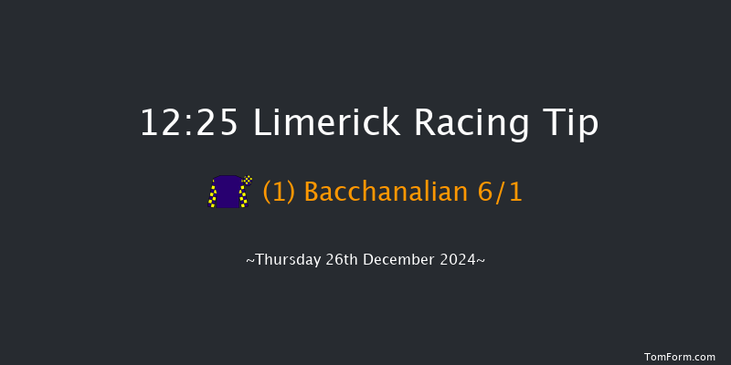 Limerick  12:25 Maiden Hurdle 16f Tue 19th Nov 2024