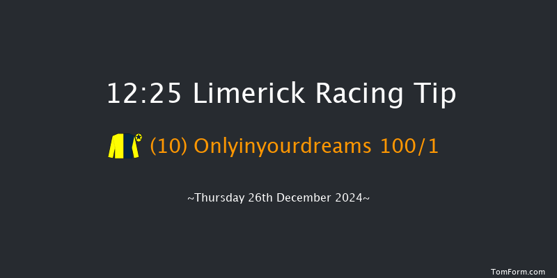 Limerick  12:25 Maiden Hurdle 16f Tue 19th Nov 2024
