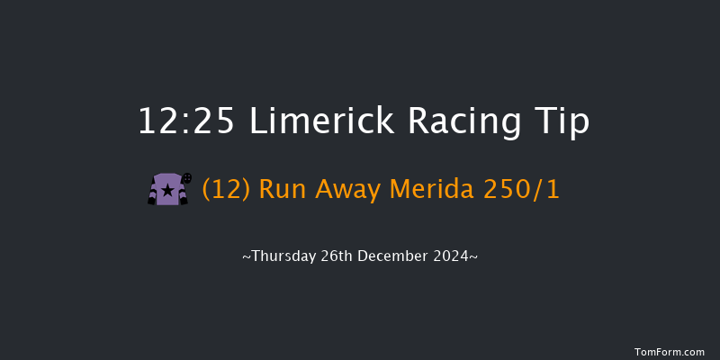 Limerick  12:25 Maiden Hurdle 16f Tue 19th Nov 2024