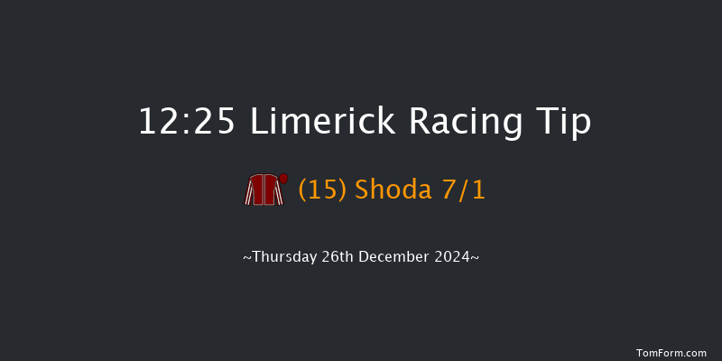 Limerick  12:25 Maiden Hurdle 16f Tue 19th Nov 2024