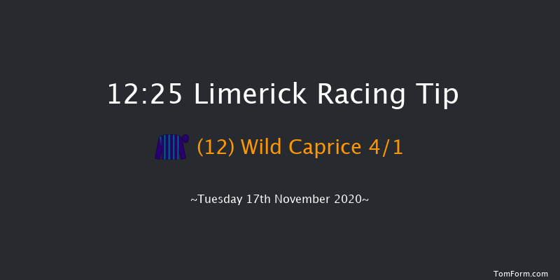LimerickRaces.ie Maiden Hurdle Limerick 12:25 Maiden Hurdle 19f Sun 11th Oct 2020