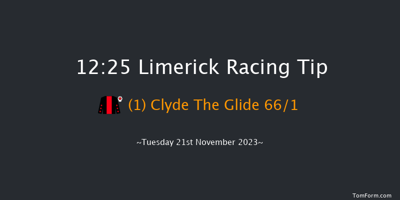Limerick 12:25 Maiden Hurdle 19f Sun 22nd Oct 2023
