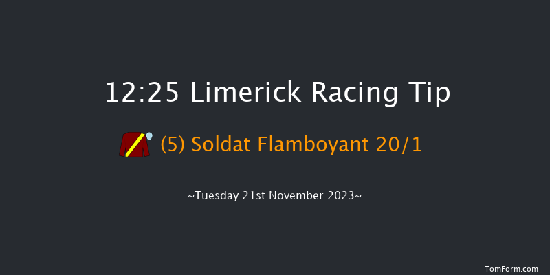 Limerick 12:25 Maiden Hurdle 19f Sun 22nd Oct 2023