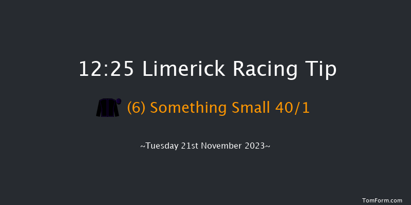 Limerick 12:25 Maiden Hurdle 19f Sun 22nd Oct 2023