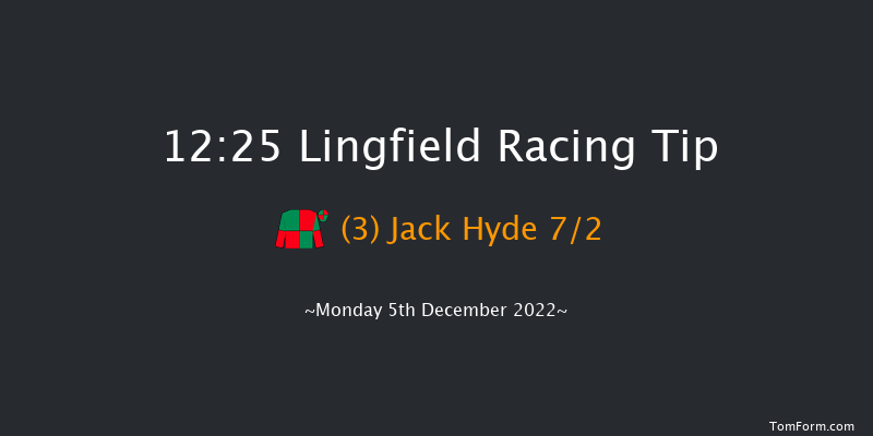 Lingfield 12:25 Stakes (Class 5) 16f Wed 30th Nov 2022