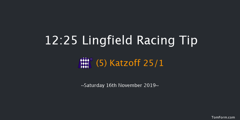 Lingfield 12:25 Stakes (Class 5) 8f Tue 12th Nov 2019