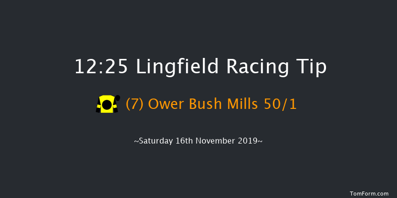 Lingfield 12:25 Stakes (Class 5) 8f Tue 12th Nov 2019