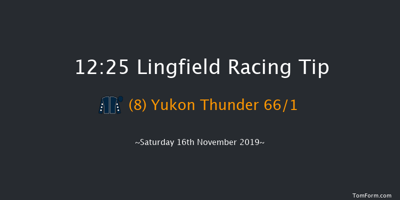 Lingfield 12:25 Stakes (Class 5) 8f Tue 12th Nov 2019