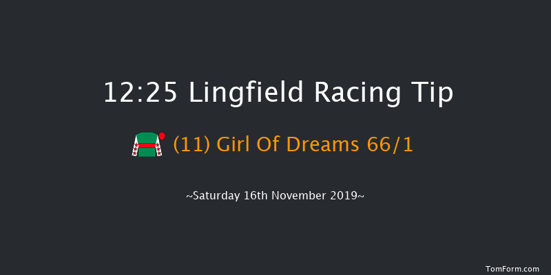 Lingfield 12:25 Stakes (Class 5) 8f Tue 12th Nov 2019