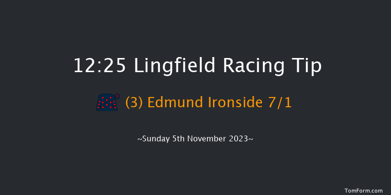 Lingfield 12:25 Handicap (Class 6) 8f Thu 2nd Nov 2023