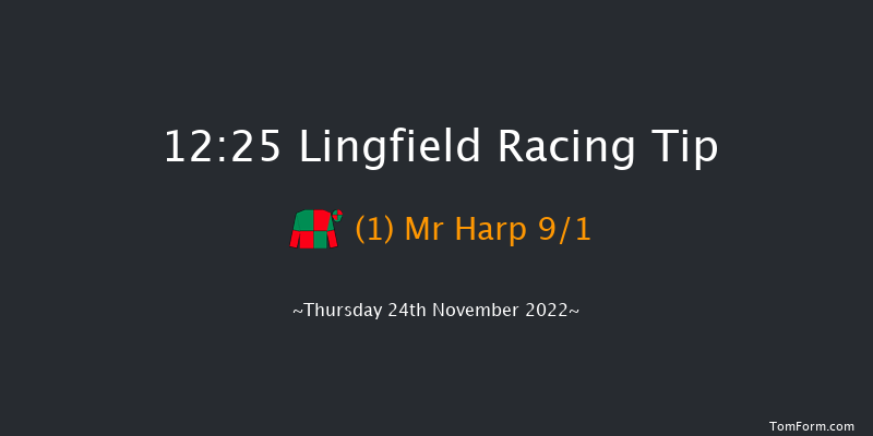 Lingfield 12:25 Handicap Hurdle (Class 5) 23f Sat 19th Nov 2022