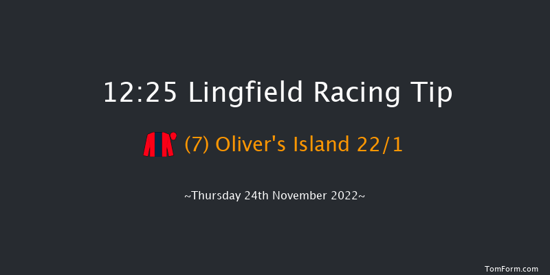 Lingfield 12:25 Handicap Hurdle (Class 5) 23f Sat 19th Nov 2022